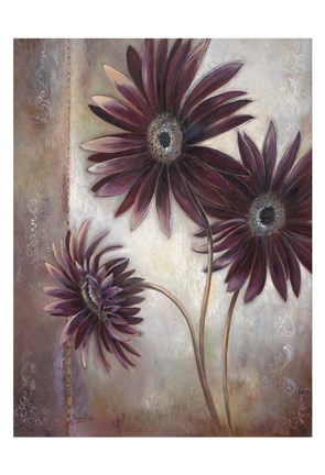 Framed Ruffled Beauty Print