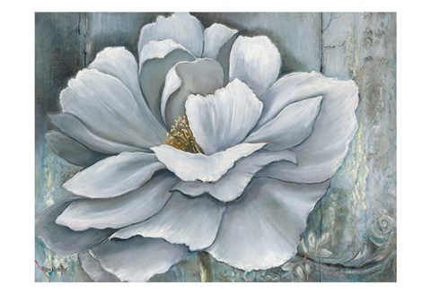 Framed Silken Bloom II Print