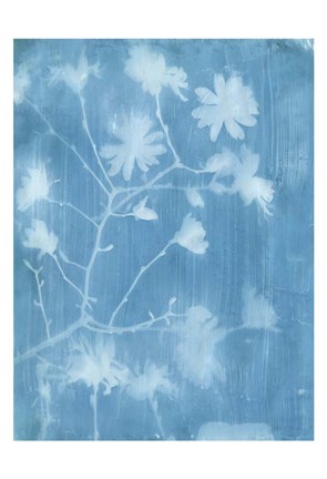 Framed Spring Time Magnolia 1 Print