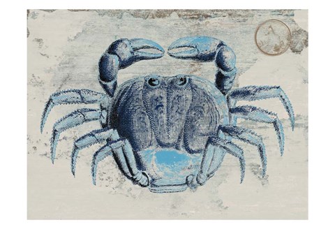 Framed Mysterious Crustacean 2 Print