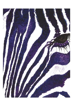 Framed Blue Zebra Mate Print