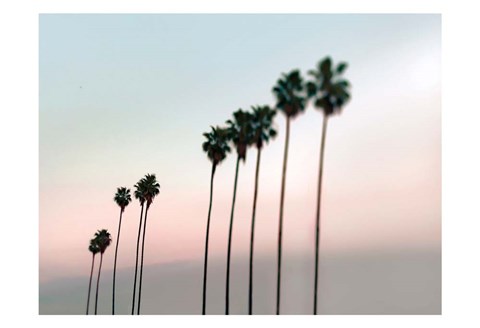 Framed Rosey Palms Print