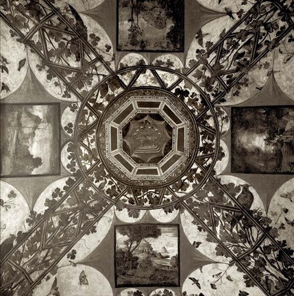 Framed Giardini Italiano V Print