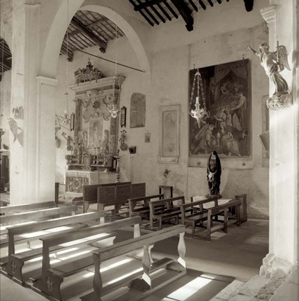 Framed Banogregio I Print