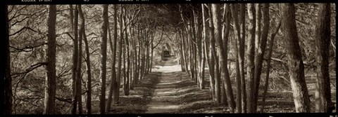 Framed Hampton Gates Promenade II Print