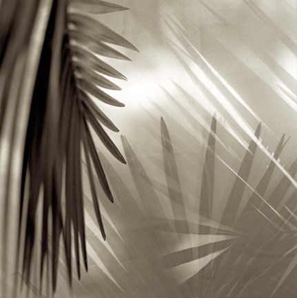 Framed Florison 55 Print