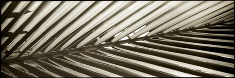 Framed Florison 100 Print