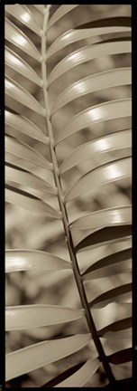 Framed Florison 92 Print