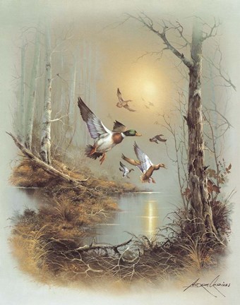 Framed Ducks A Print