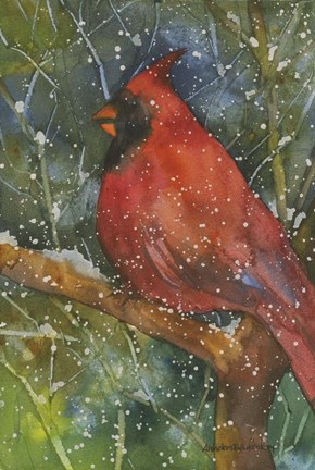 Framed Perched Cardinal Print