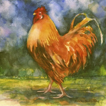 Framed Rooster Field Print