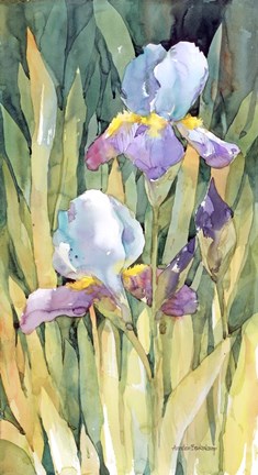 Framed Beneath The Sun Print