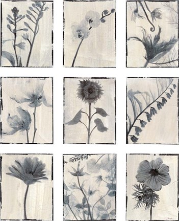 Framed Silk Botanicals Print