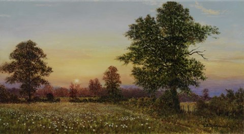 Framed Evening Daisies Print