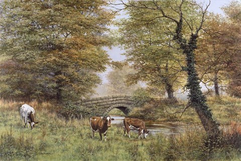 Framed Cows By Bridge Print