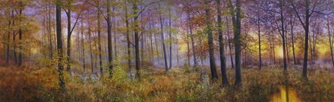 Framed Autumn Wolves Print