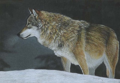 Framed Cold Winters Night Print