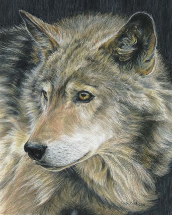 Framed Curious Eyes Print