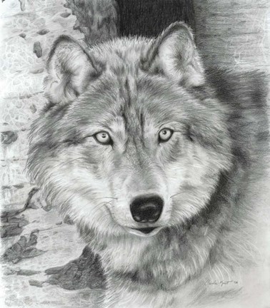 Framed Watchful Eyes Print