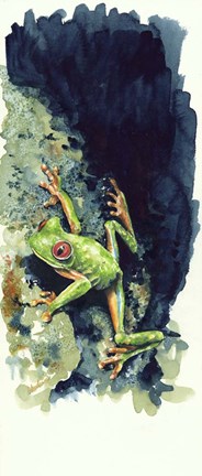 Framed Costa Rican Frog Print
