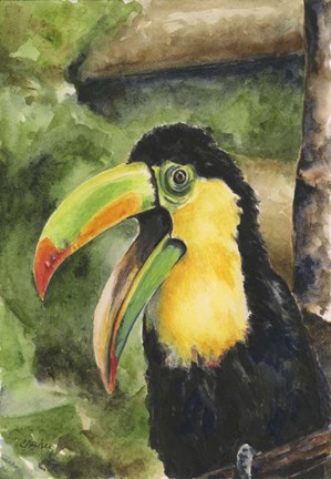 Framed Toucan Bill Print