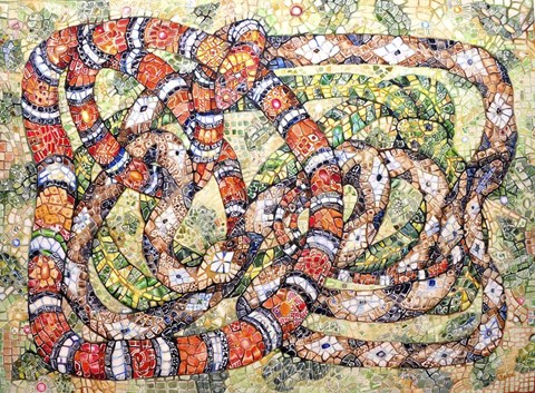 Framed Coral Snake Ouroboros Print