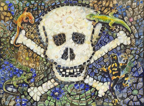 Framed Salamanders Print