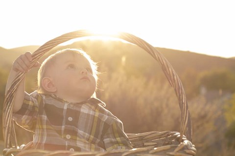 Framed Basket Burst Print