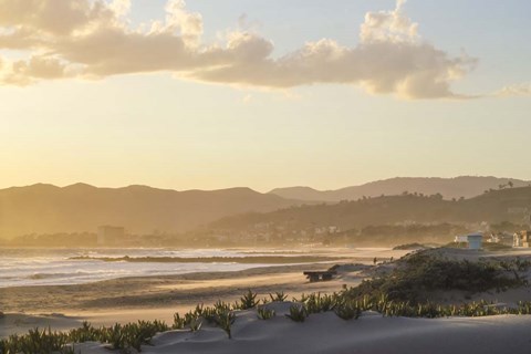 Framed Hazy Days Print