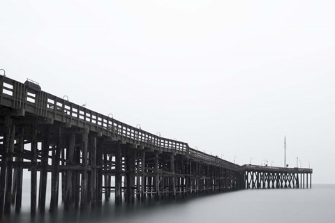 Framed Pierity Print