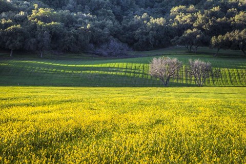 Framed Together Forever Print