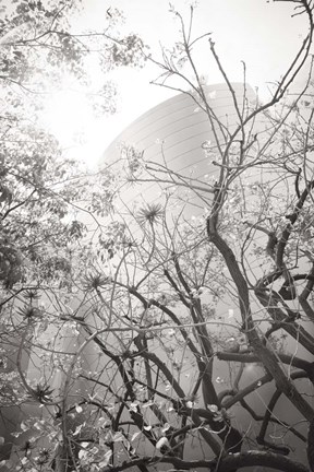 Framed Dreamy Disney Concert View Print