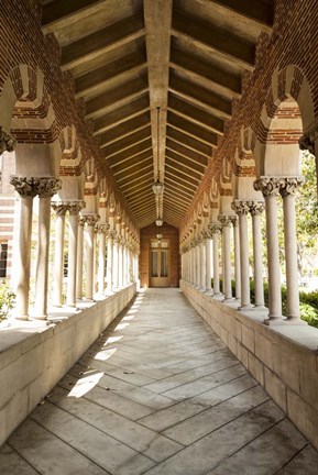 Framed USC Hall Color Print