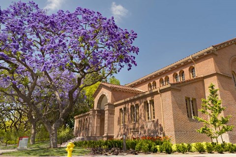 Framed USC University Club Print