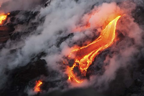 Framed Dragon&#39;s Tongue Print