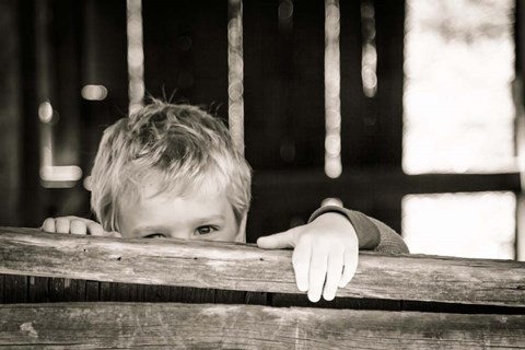 Framed Peekaboo Print