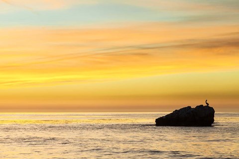 Framed Pelican Sunrise Print