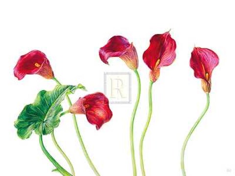 Framed Seeing Red [Ed 99] Print