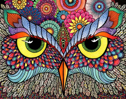 Framed Owl Face Print