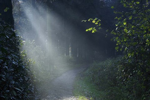 Framed Beam of Light Print