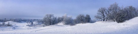 Framed Panorama Winter Dunes Print