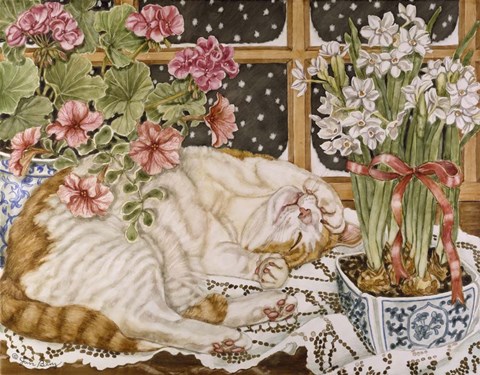 Framed Long Winter&#39;s Nap Print