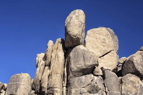 Framed Joshua Rocks Print