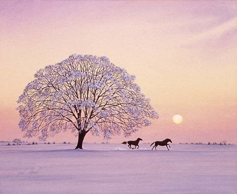 Framed Winter&#39;s Evening Print