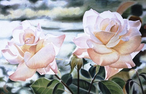 Framed Awakening Print