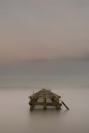 Framed Swimming to Alcatraz III Print