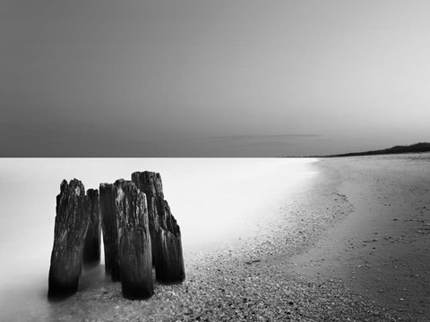 Framed Caucus Race Print