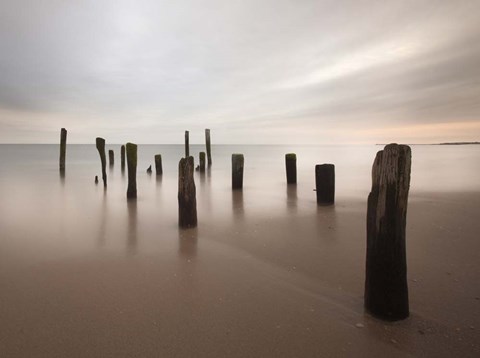 Framed Beyond Measure Print