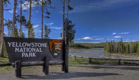 Framed Yellowstone National Park Sign Print