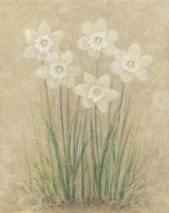 Framed White Tulips Print